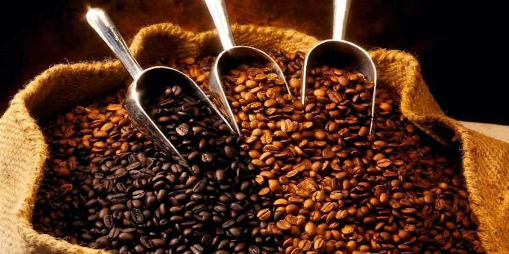 From Farm to Cup: The Journey of a Coffee Bean – TABACALERA.COM